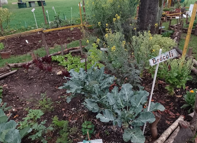 Huerta urbana